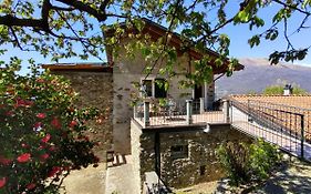 Apartment Oro Del Lario-2 By Interhome
